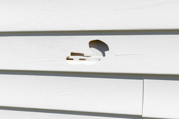 Best Residential Vinyl Siding Installation  in Springfield, NJ