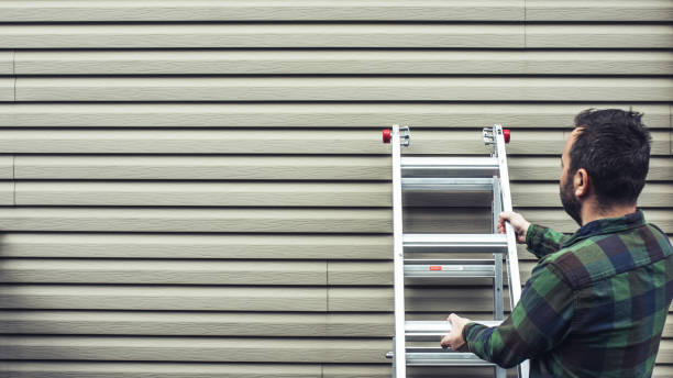 Affordable siding repair and maintenance services in Springfield, NJ