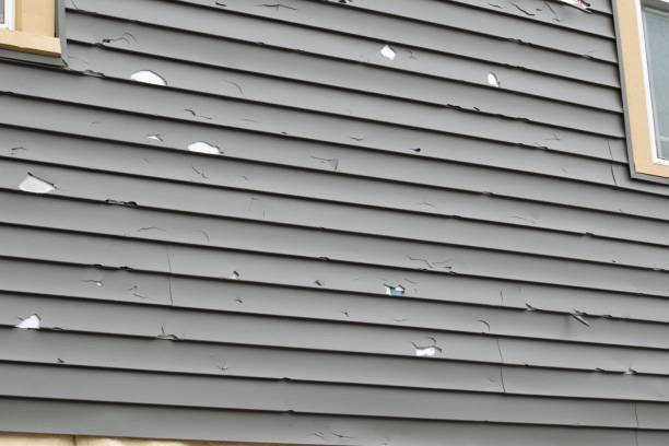 Best Siding Removal and Disposal  in Springfield, NJ