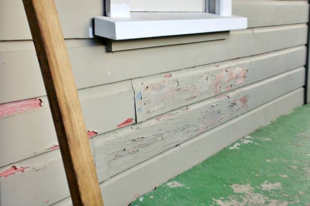 Best Composite Siding  in Springfield, NJ