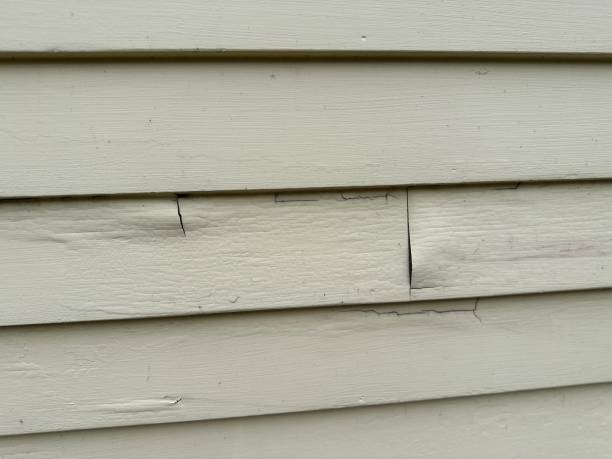 Best Stone Veneer Siding  in Springfield, NJ